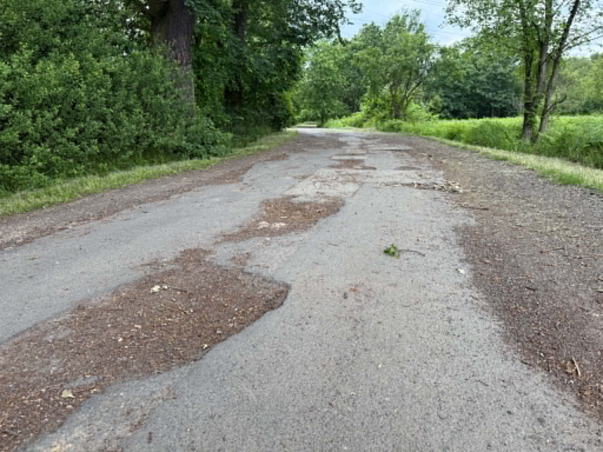 Uszkodzona nawierzchnia drogi pomiedzy drzewami 