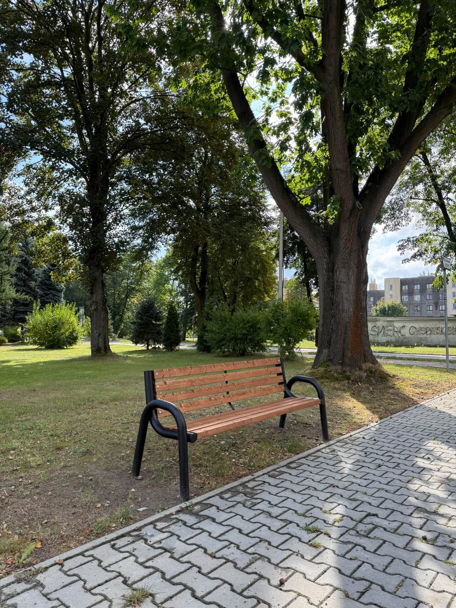 Ławeczka w cieniu drzewa 